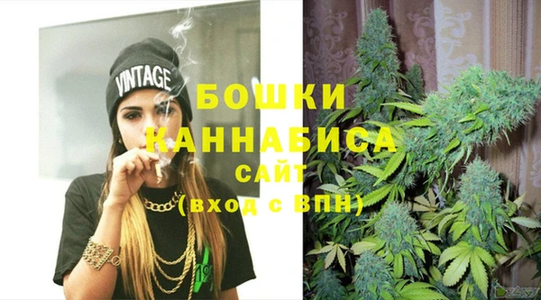 PSILOCYBIN Кинешма