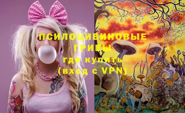 дмт Киреевск