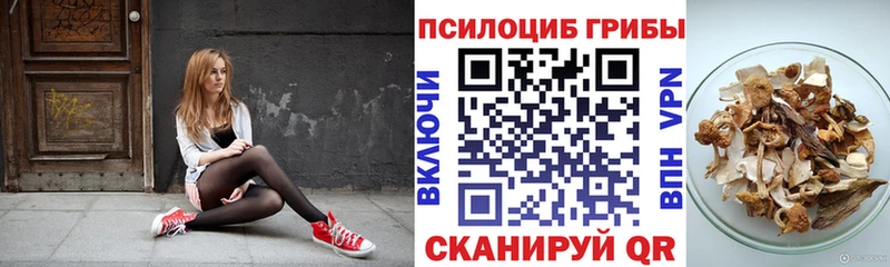 Псилоцибиновые грибы Psilocybe  как найти закладки  Балашов 